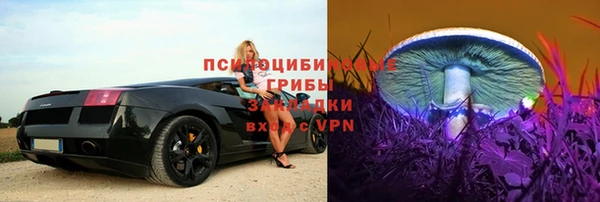 мяу мяу мука Белоозёрский