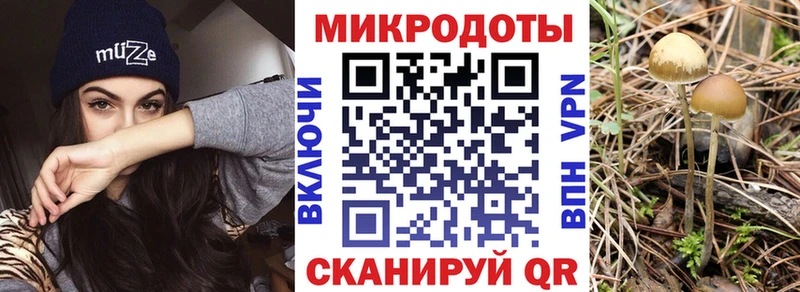 Галлюциногенные грибы Cubensis Динская